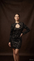 Cion Party Wear Brown